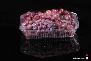 ظروف یکبار مصرف میوه