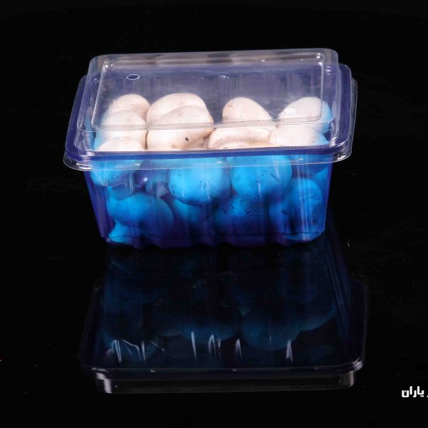 ظروف یکبار مصرف قارچ